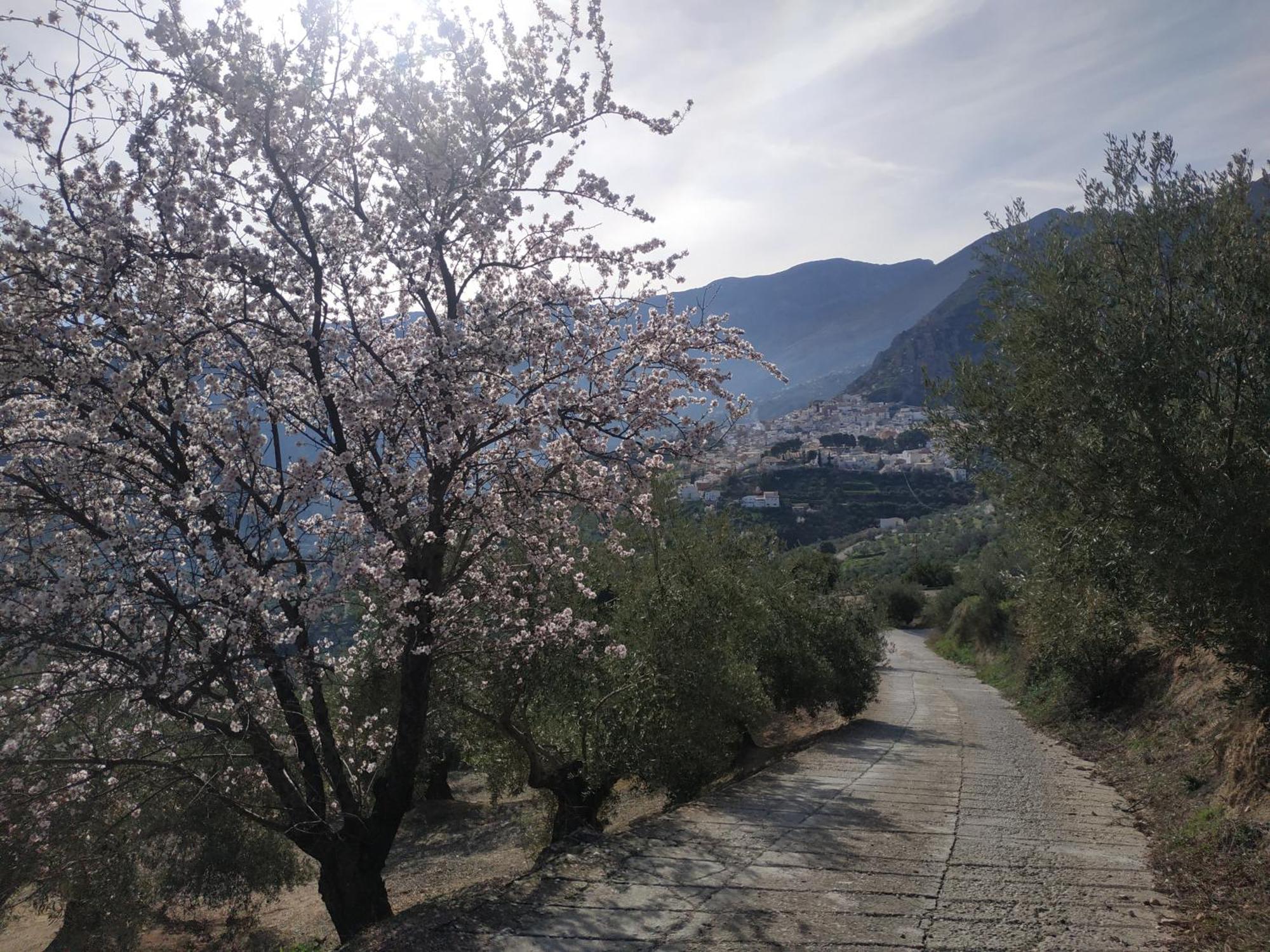 Casa Rural Maestros Villa Albanchez de Ubeda Luaran gambar